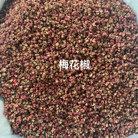 玉林红花椒 韩城大红袍花椒 梅花椒 批发