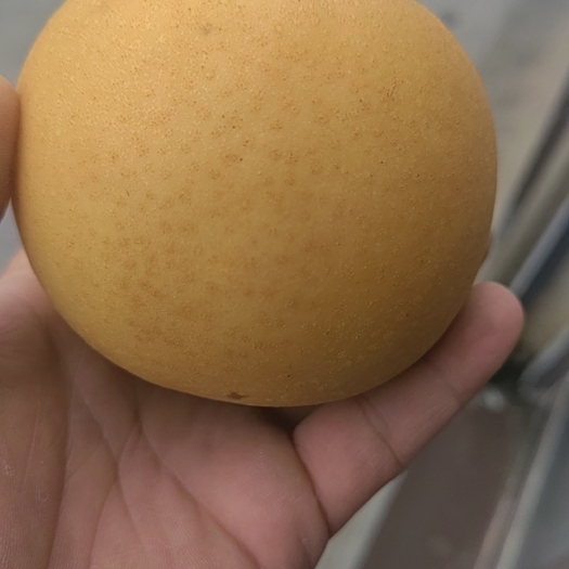 睢宁县秋月梨