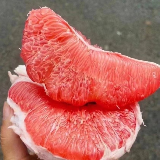 广州梅州本地新鲜水果三红肉柚子散装50斤
