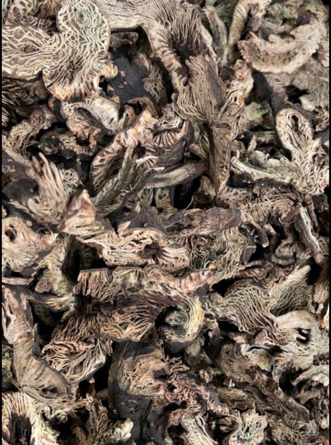  北升麻 升麻 东北正品升麻无硫净货 【假一赔十】