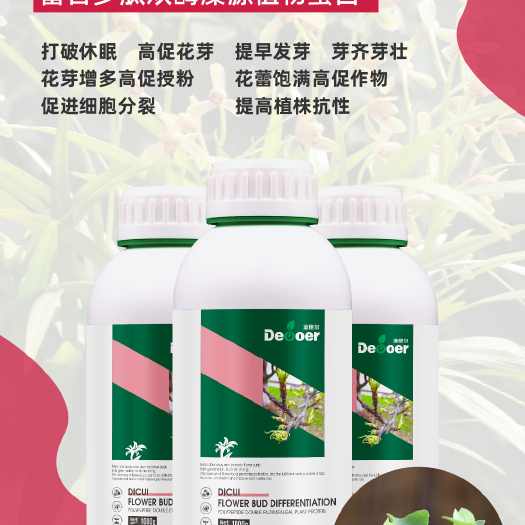 青岛迪萃-花芽分化