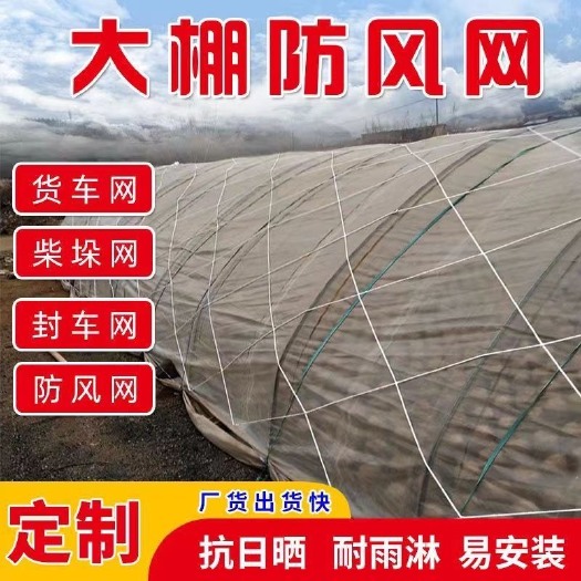 大棚防风网 尼龙网防护网农用大孔压膜绳网养殖挡风网大棚专用网