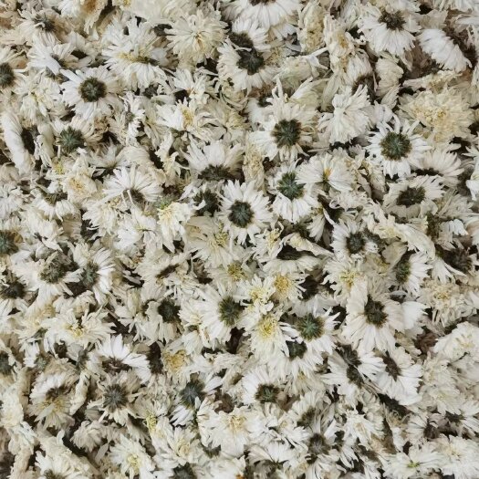 菊花茶