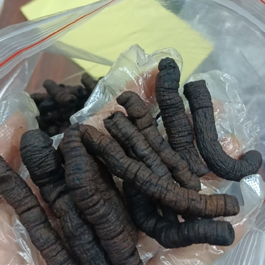 博罗县九蒸九晒巴戟天