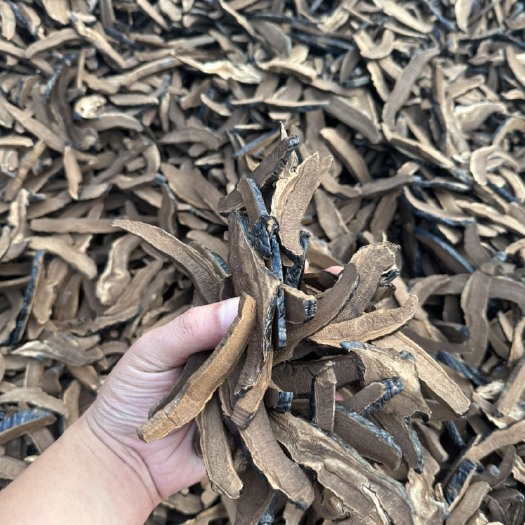 冠县黑灵芝切片灵芝切片二十余年灵芝基地自产自销灵芝片