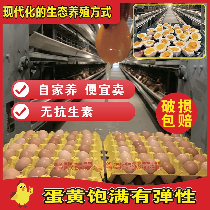 粉壳蛋 粉蛋 自养自销 无抗生素 破损包赔