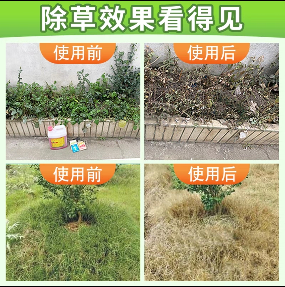 95%粉剂草甘磷除草烂根剂粉正品农药果园草甘膦铵盐烂死根一扫