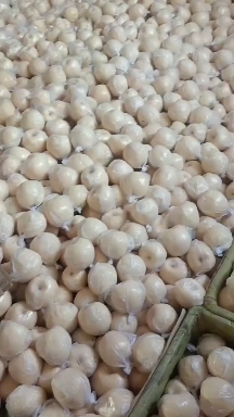 礼泉县黄花梨