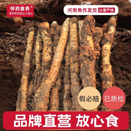 河南焦作温县垆土地铁棍山药原产地直发新鲜今年新品