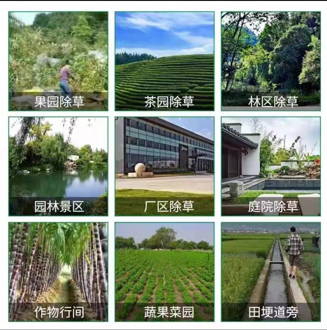 95%粉剂草甘磷除草烂根剂粉正品农药果园草甘膦铵盐烂死根一扫