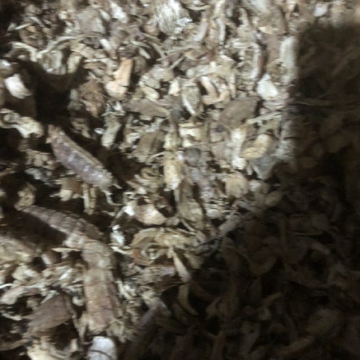 熟的虾爬 小鱼 小虾在一起 很干 盐分也很低 用到的来