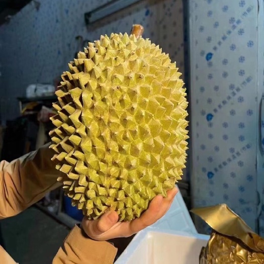 上海榴莲垫资、报关物流