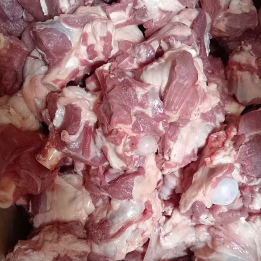 河间市国产加肉羊棒骨 肉非常多