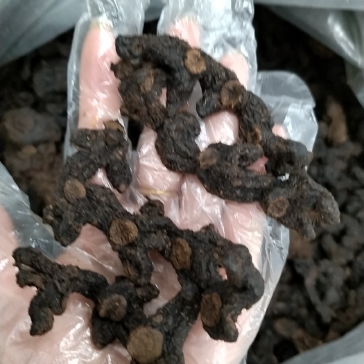 博罗县九蒸九晒姜黄精干品批发