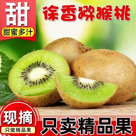 【不卖小果】西峡徐香猕猴桃新鲜现摘绿心奇异果应季水果