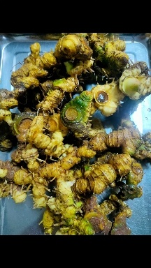 南城县黄精，大山里面的山货，纯，喜欢的来