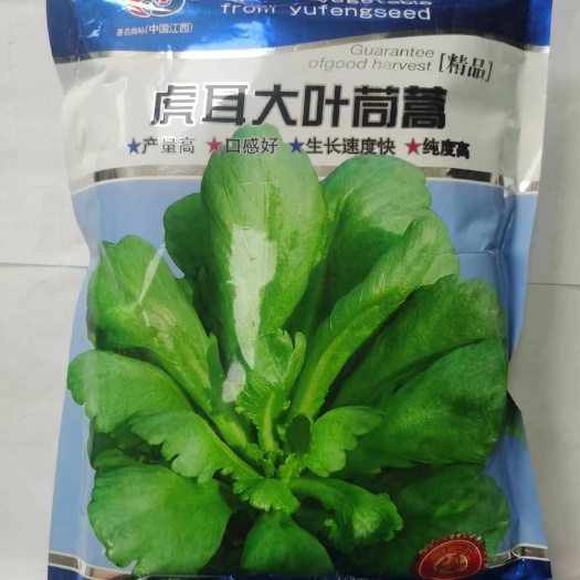 武汉虎耳大叶茼蒿种子