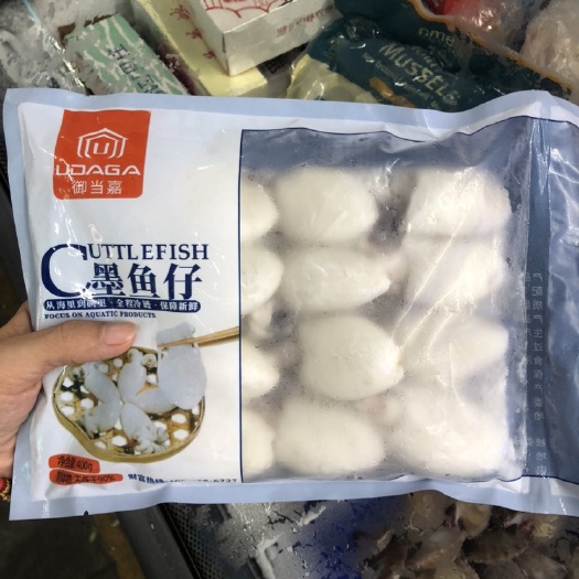深圳墨鱼仔