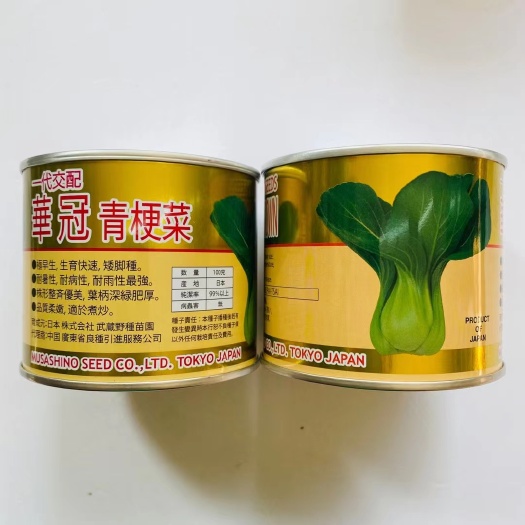 宿迁華冠青梗菜种子日本耐热耐雨青梗菜种子抗病性强原装100克