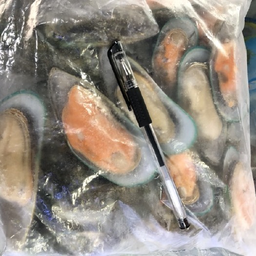 深圳新西兰青口贝