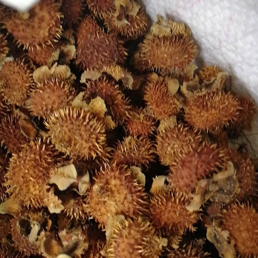 秀山刺梨干果
