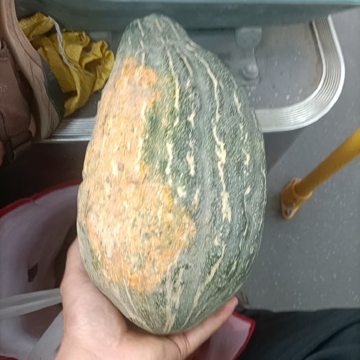 井陉县南瓜