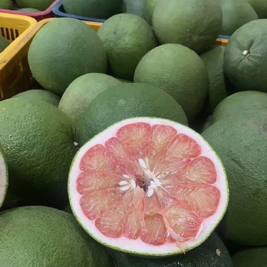 长沙热带水果柚子