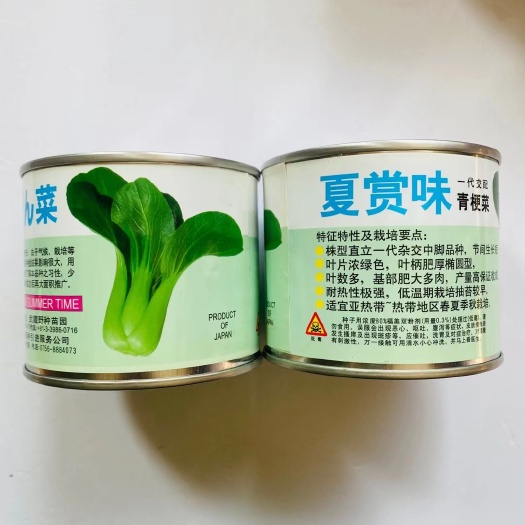 青梗菜种子夏赏味青梗菜种华冠青梗菜种子苏州青上海青小白菜种子