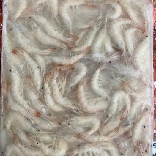 小白虾  中餐江湖菜烧烤