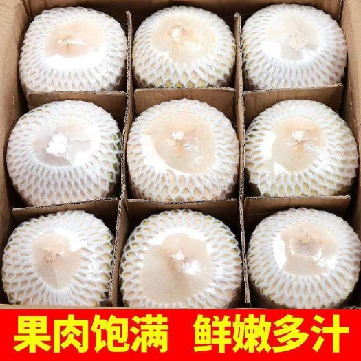海口椰青一件9个代发包售后一件也批发全国包邮