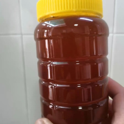 柳州枣花蜜   陕西采的枣花蜜  孕妇儿童放心食用