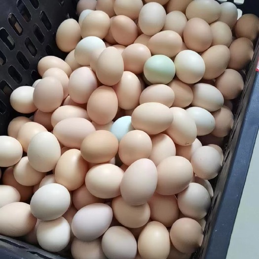 保靖县湘西正宗土鸡蛋