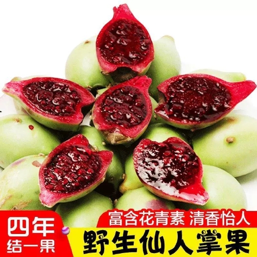 三亚海南仙人掌果三亚新鲜当季现摘水果仙桃仙人果包邮