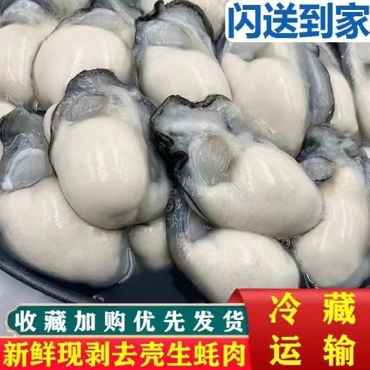 饶平县新鲜生蚝肉当天现捞现寄鲜活现剥去壳海蛎子即食牡蛎肉