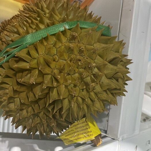 昆明泰国金枕榴莲