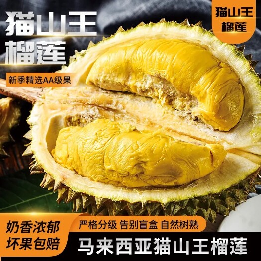 深圳马来西亚猫山王榴莲D197液氮保鲜整果带壳榴莲保五房