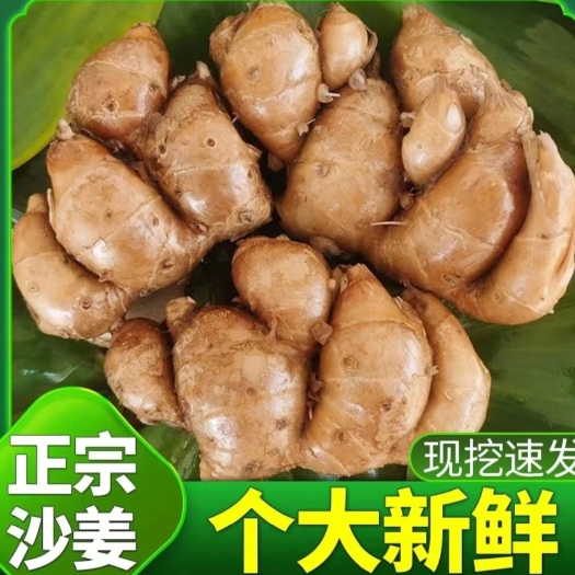 阳春市【农家直销】正宗广东阳春双滘镇深山种植沙姜500g/一斤