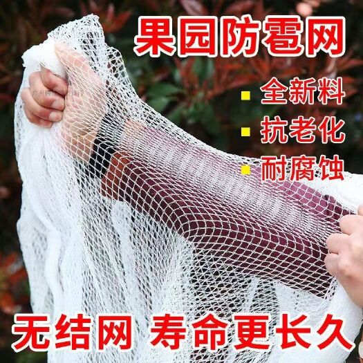 新沂市防雹网冰雹网白色全新料苹果树葡萄果园防鸟防护网厂家直销