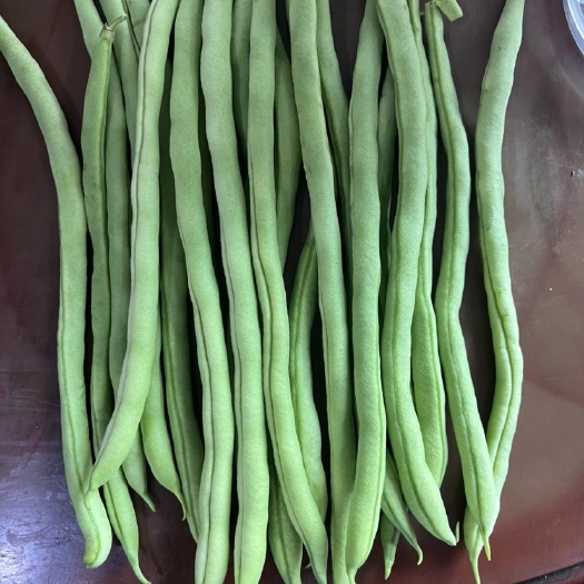 麻江县无筋豆角
