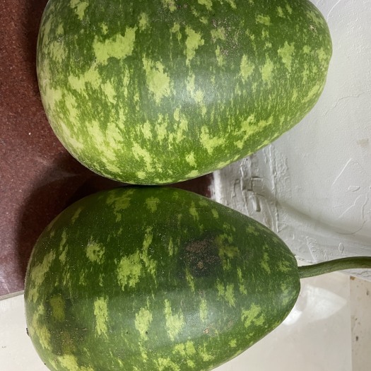 博罗县浦瓜，自种自销，
