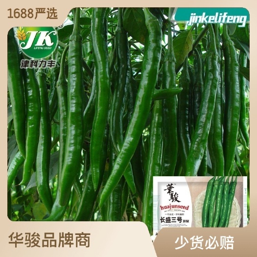 河间市线椒种子辣味香浓农田菜园可盆栽长红辣椒二金条剁椒早熟辣椒种子