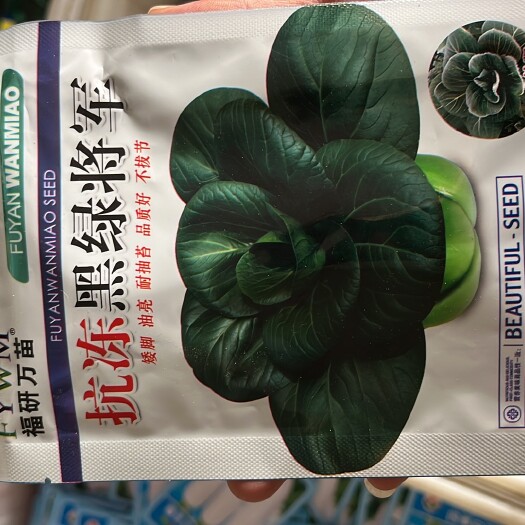 余干县抗冻黑绿将军
