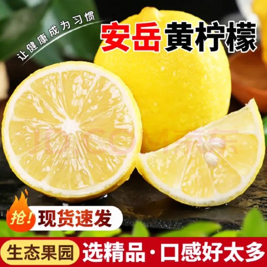 四川安岳黄柠檬新鲜水果皮薄当季整箱精选香水甜青柠檬小金桔特产