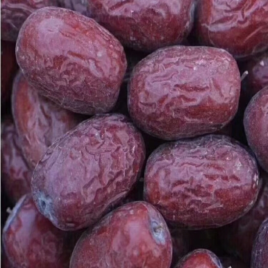 巴楚县红枣（灰枣）