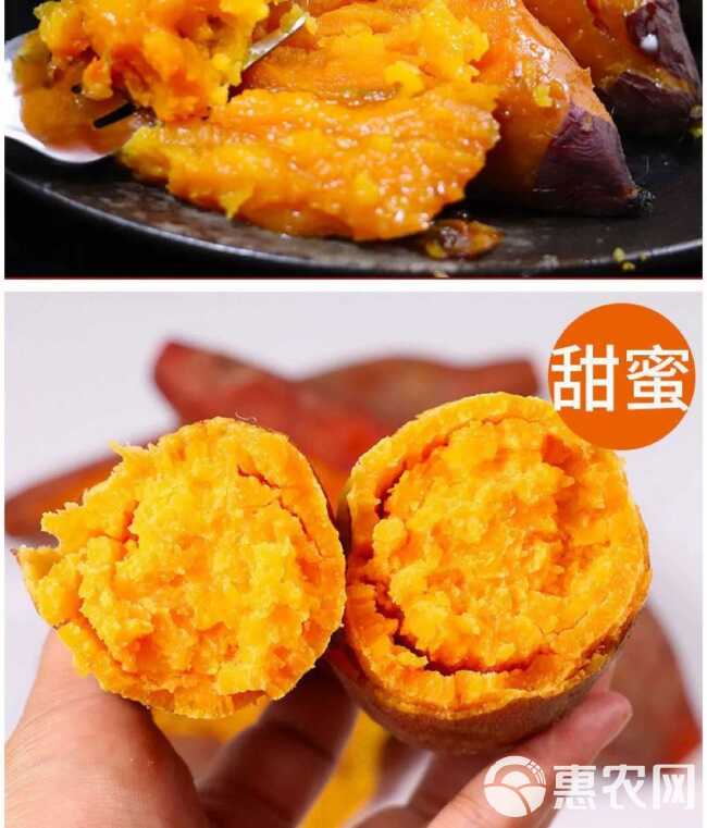 【太便宜】蜜薯新鲜超甜沙地红薯黄心板栗糖心番薯黄金蜜山芋地瓜