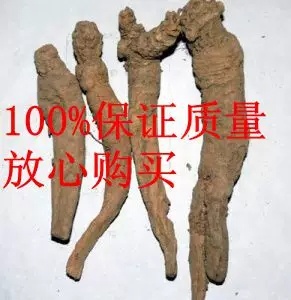 安国市中药材草药正品 荠苨 杏参甜桔苨菧苨甜桔梗土长叶沙参500克