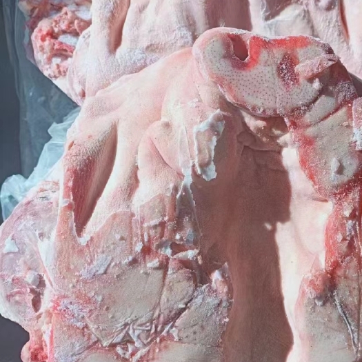 肥猪无耳头8-10斤