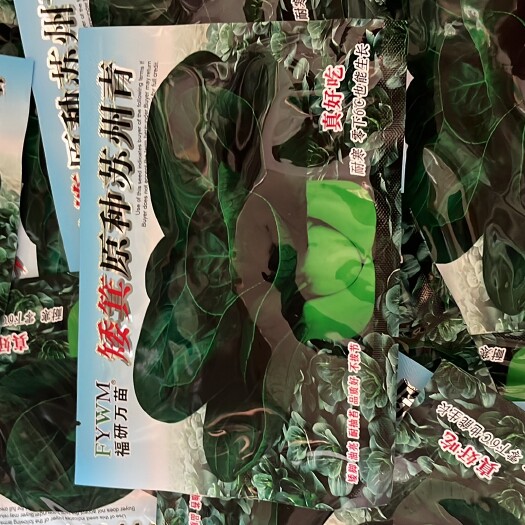 余干县矮其原种苏州青