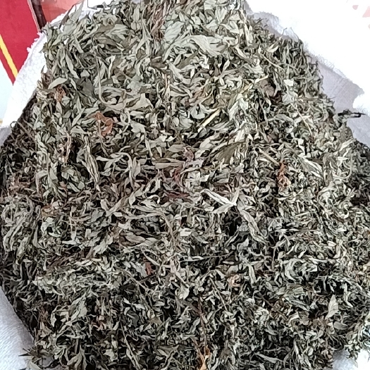 贵港艾叶