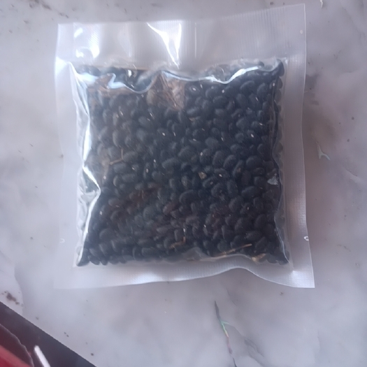 肇东市小黑豆焖米饭时少量放特香吃五谷杂粮身体健康